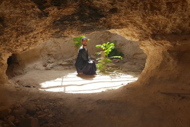 still / picture for A Queer Bird in the Middle East