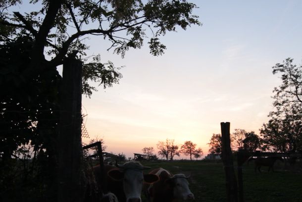 still / picture for Horizon