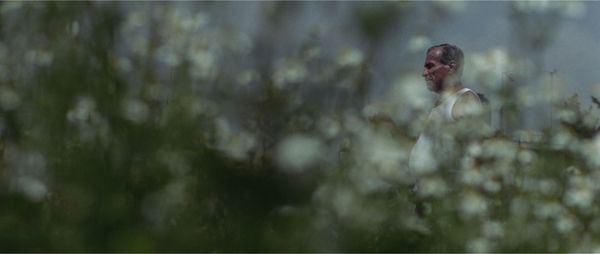 still / picture for Dorsal