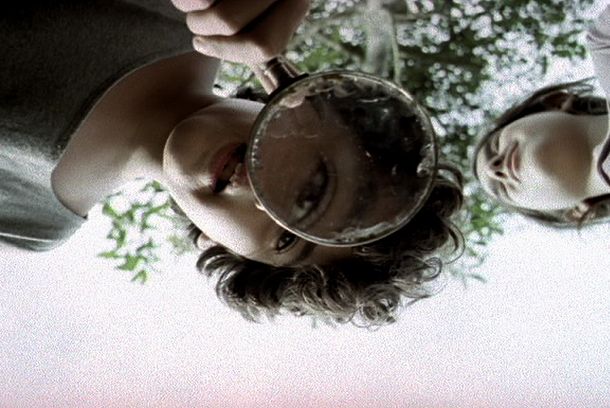still / picture for Dez elefantes
