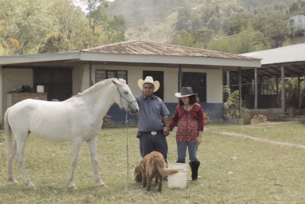 still / picture for Los Volátiles