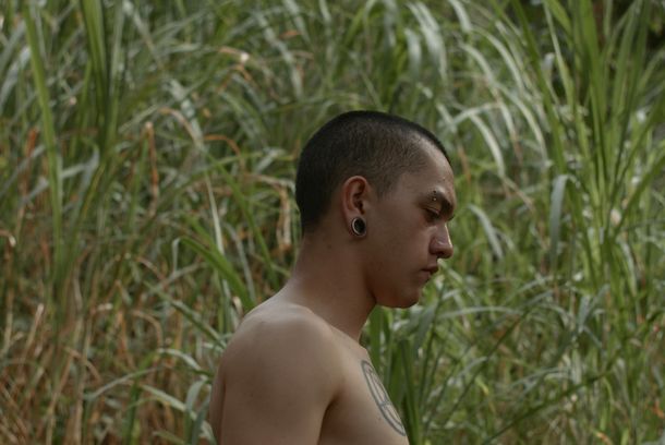 still / picture for The Jungle Knows You Better Than You Do