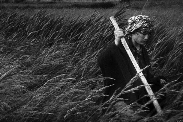 still / picture for Songes d'une Nuit Cambodgienne