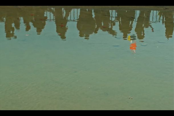 still / picture for خورشیدگرفتگی