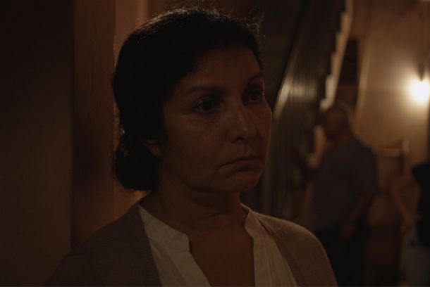 still / picture for Jasmines in Lídice 