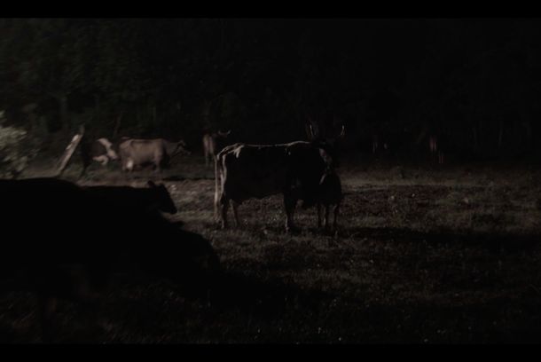 still / picture for El Cementerio se Alumbra