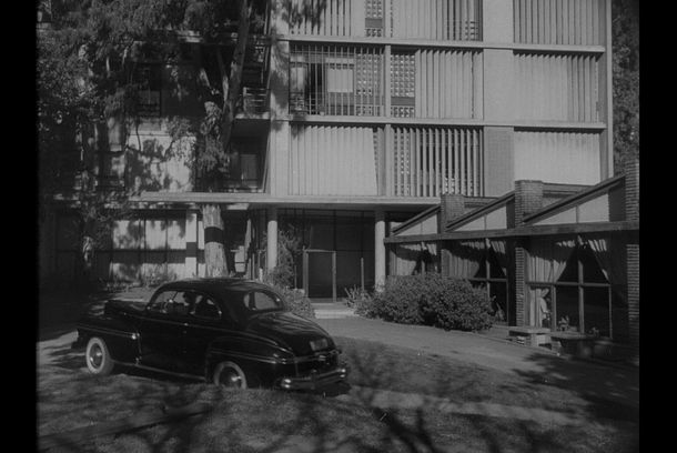 still / picture for Los Eucaliptus