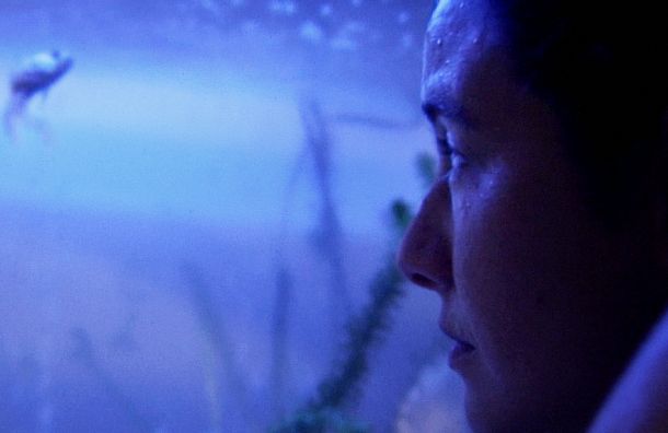 still / picture for Omega Tilki