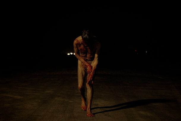 still / picture for Castanha