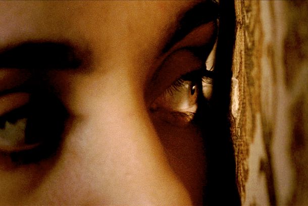 still / picture for Moths