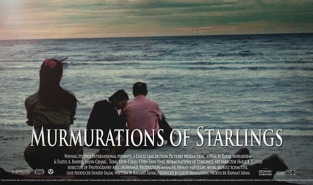 still / picture for Murmuration of Starlings
