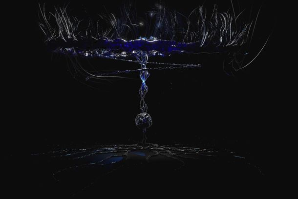 still / picture for Locus niger