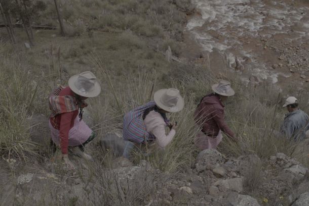 still / picture for Dream to save water