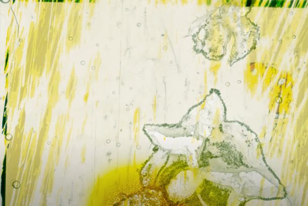 still / picture for  “Le plus simple image” 