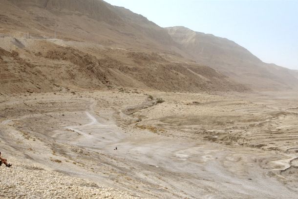 still / picture for Dead Sea Dying