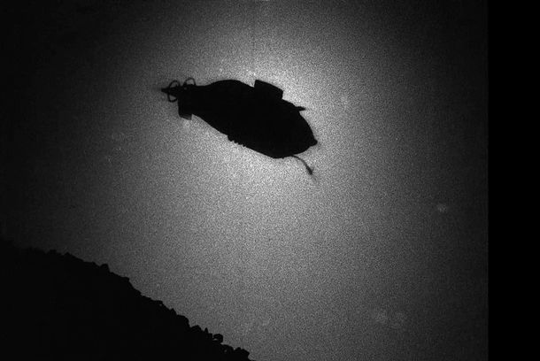 still / picture for Vostok