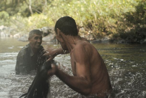 still / picture for Entre perro y lobo