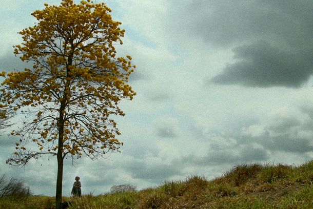still / picture for EDNA