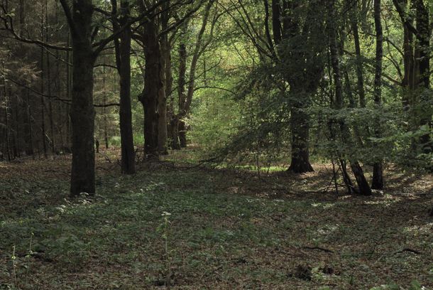 still / picture for untitled (a refusal of leave to land)