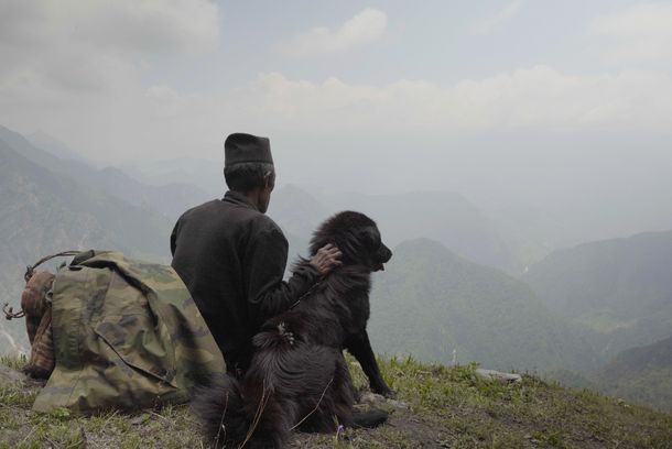 still / picture for The Last Shepherd
