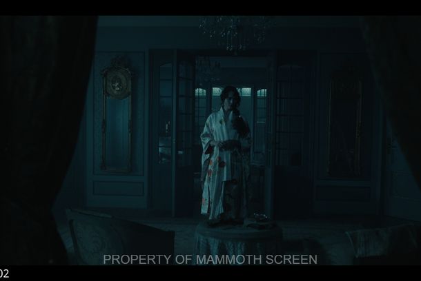 still / picture for The Forsytes