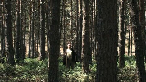 still / picture for ARRAIANOS