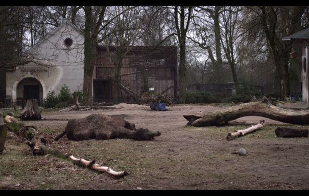 still / picture for Kupranugaris