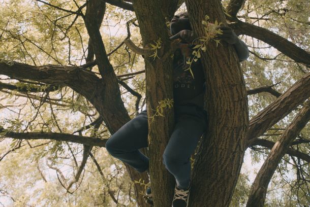 still / picture for Diminishing Shine