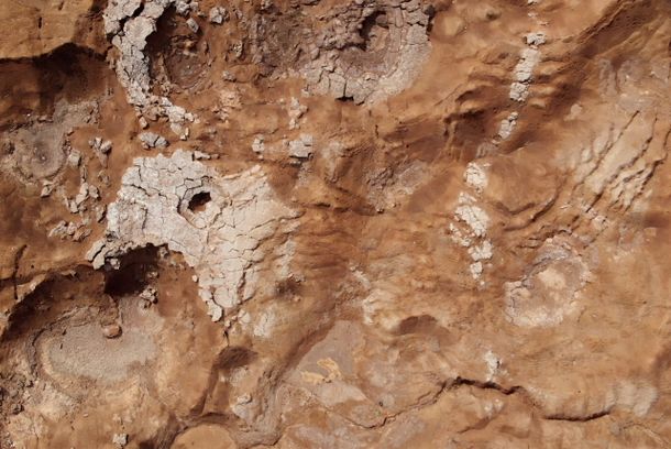 still / picture for Dead Sea Dying