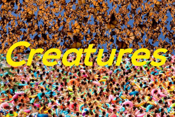 still / picture for Creatures