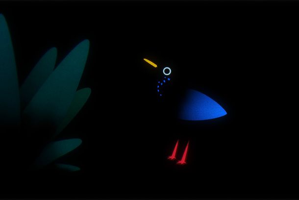 still / picture for NEST