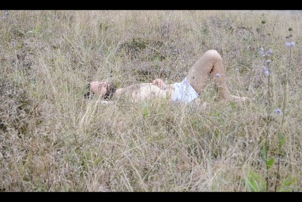 still / picture for Lady, Van And The Free Man