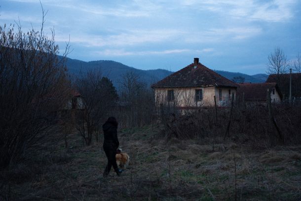 still / picture for Вучји дани