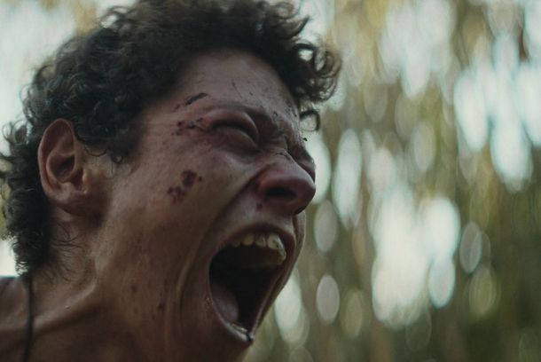 still / picture for Mosquito