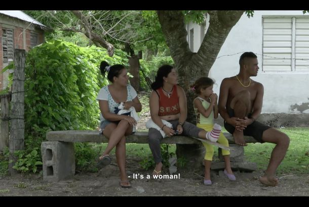 still / picture for Cocodrilo