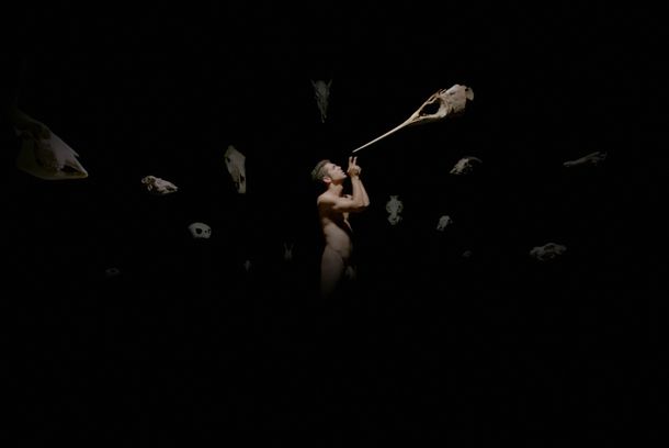 still / picture for FIN