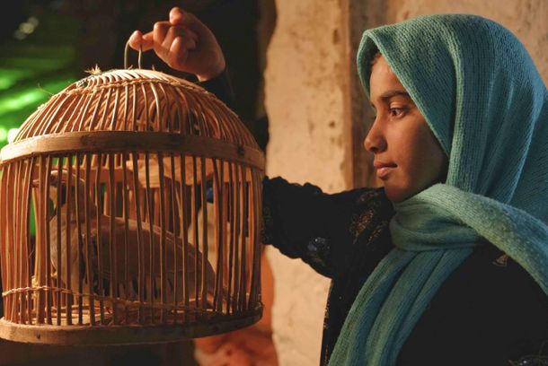 still / picture for The Dreams of the Wild Oaks