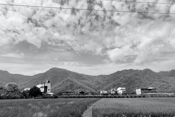 still / picture for 小雁與吳愛麗