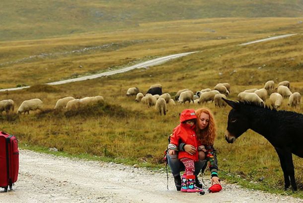 still / picture for The Chaotic life of Nada Kadic