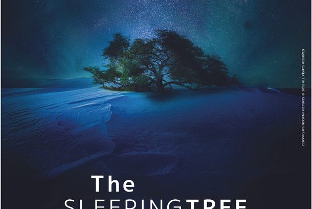 still / picture for The Sleeping Tree