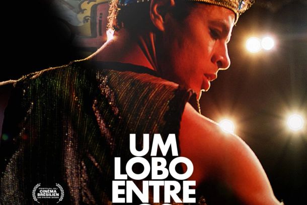 still / picture for Um Lobo Entre Os Cisnes