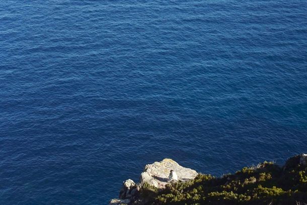 still / picture for Desletargia