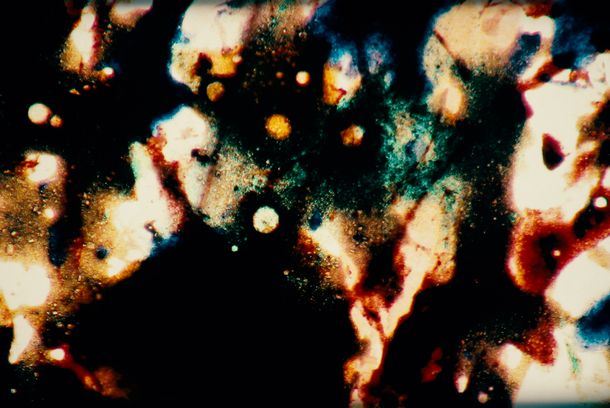 still / picture for Color Negative