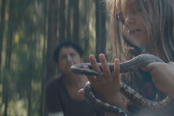 still / picture for Svetlonoc