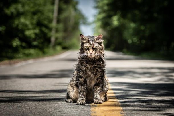 still / picture for Pet Sematary