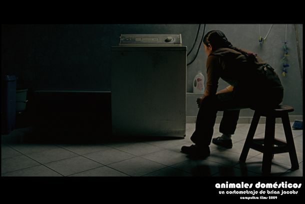 still / picture for Animales Domésticos / Domestic Animals