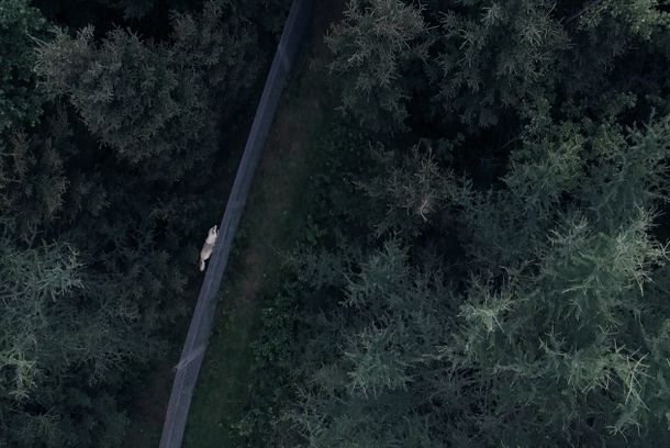 still / picture for Wolfpark