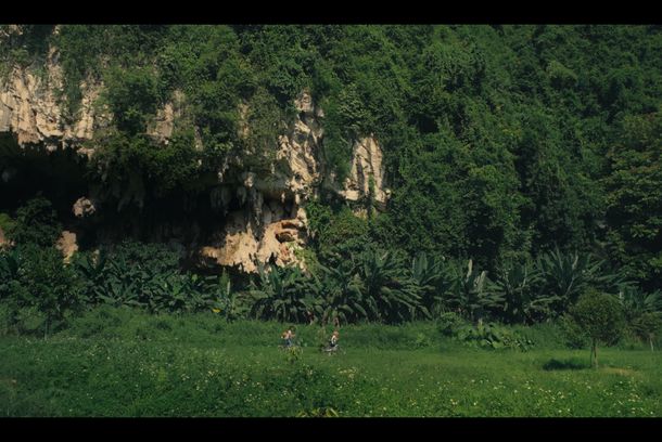 still / picture for 鳥，飛行中
