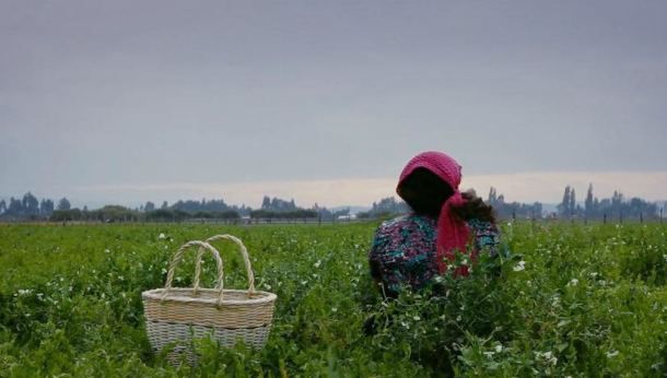 still / picture for Dungun, La Lengua