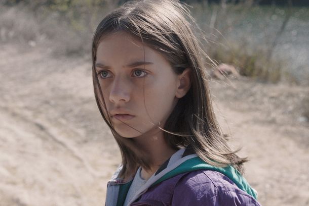 still / picture for Armadila
